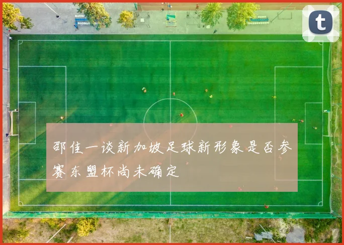 邵佳一谈新加坡足球新形象是否参赛东盟杯尚未确定